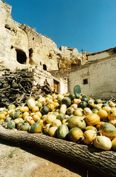 Foto: Kürbis - Uchisar in Kappadokien, Türkei